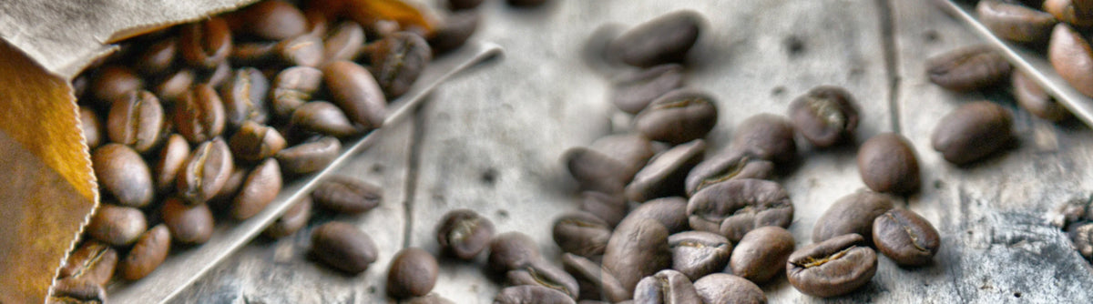 Feinster Kaffee in Bio-Qualität