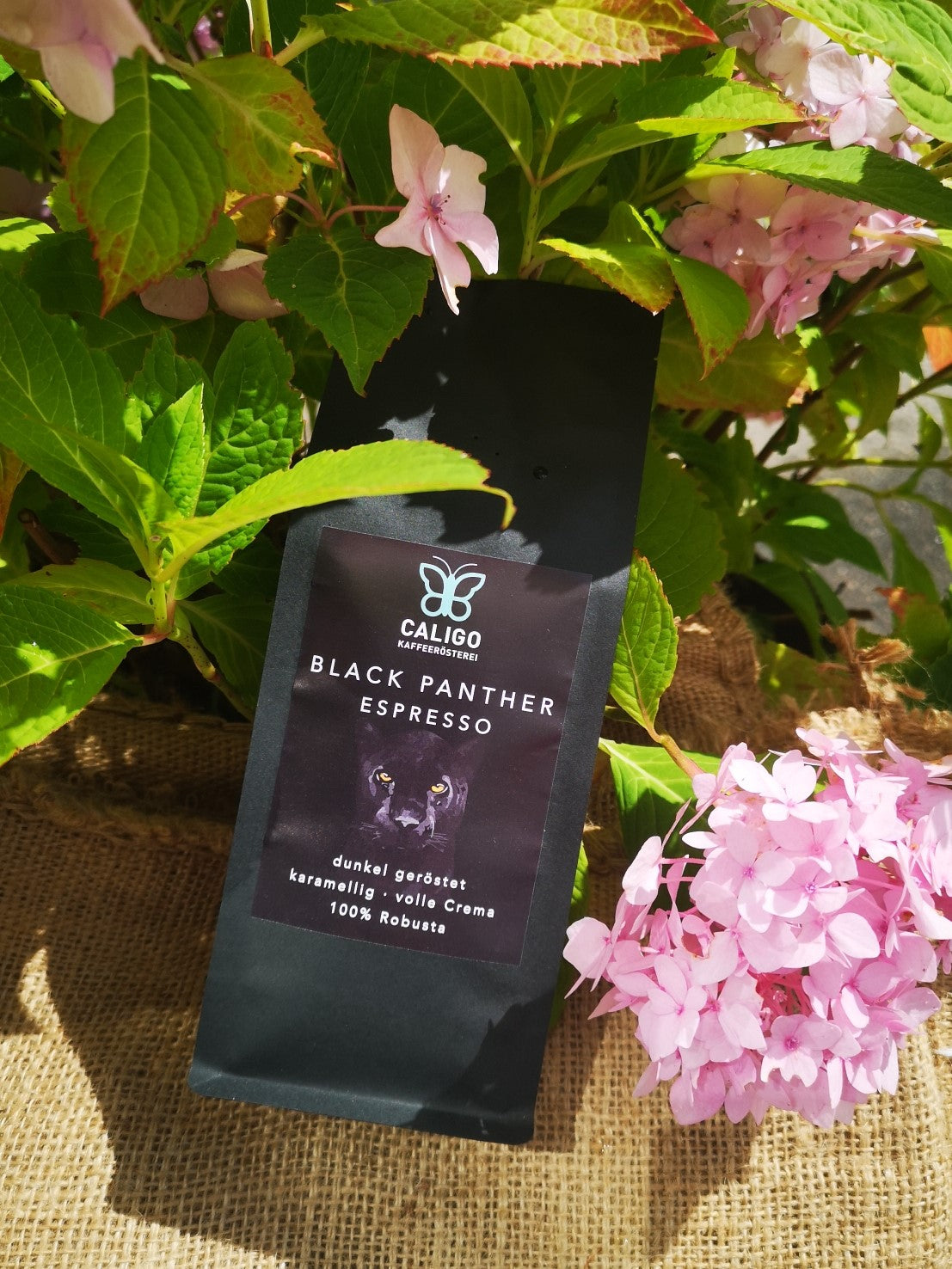 Black Panther Espresso