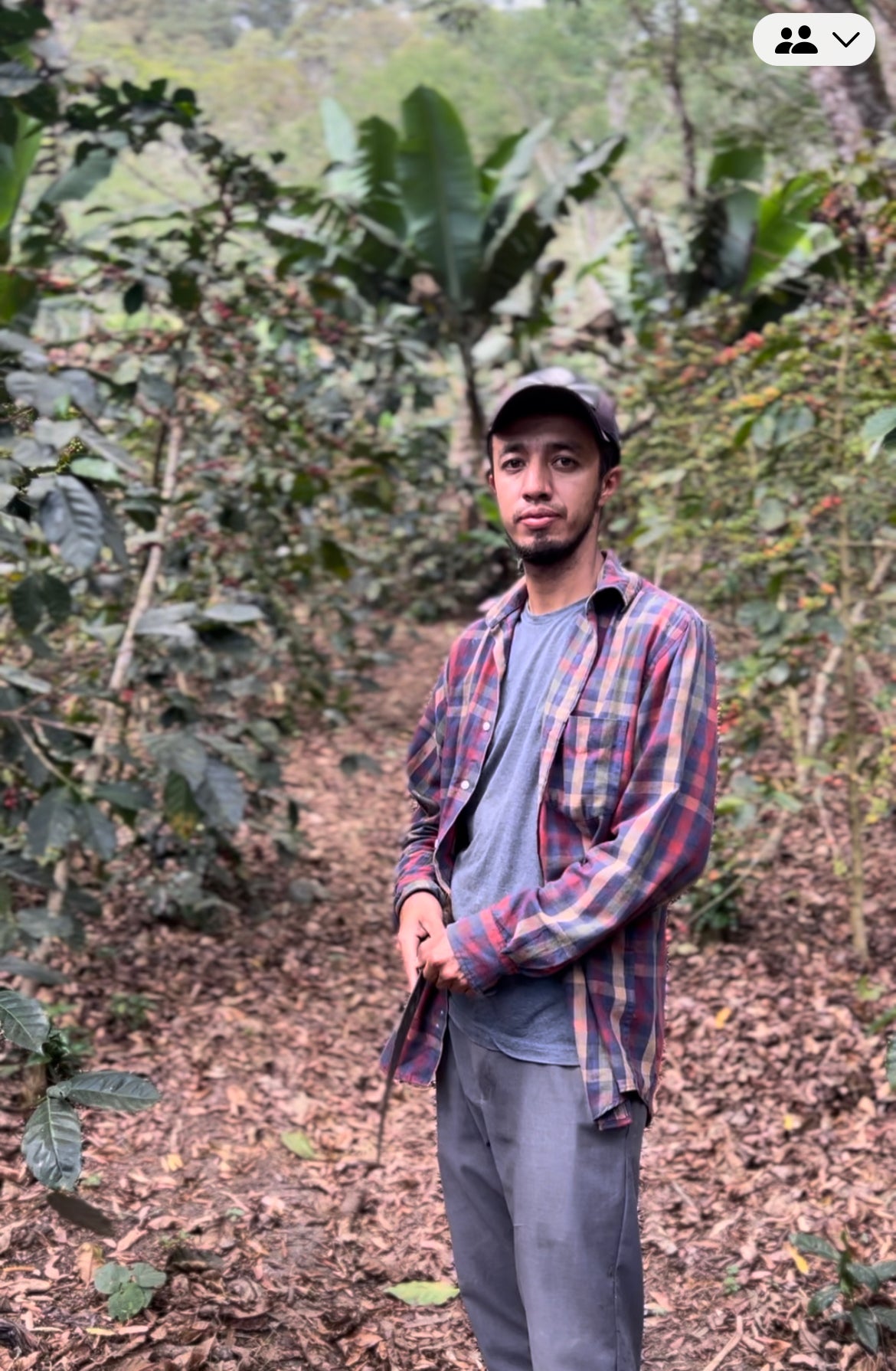 Josue Finca Celia in Kaffeeplantage
