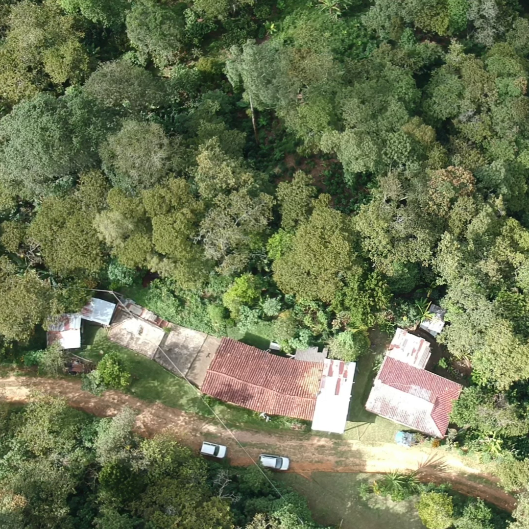 El Trebol - Kolumbien - Filterkaffee - Sugar Cane - Entkoffeiniert