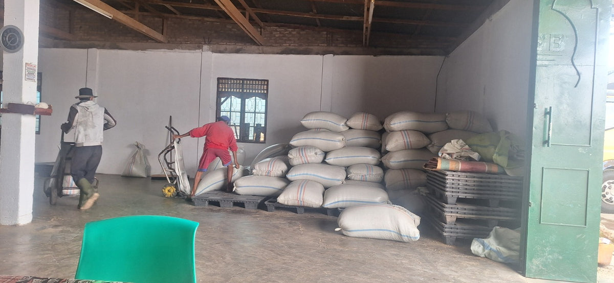 Männer verladen Kaffeesäcke - Tapanuli - Sumatra - IAC