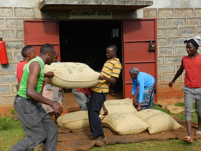 Nyeri - Kenia - Espresso - PROJEKTKAFFEE