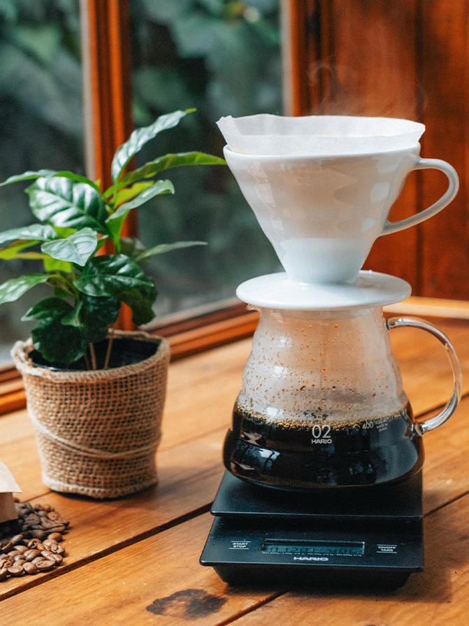 Hario V60 02 Dripper - Keramikfilter weiß