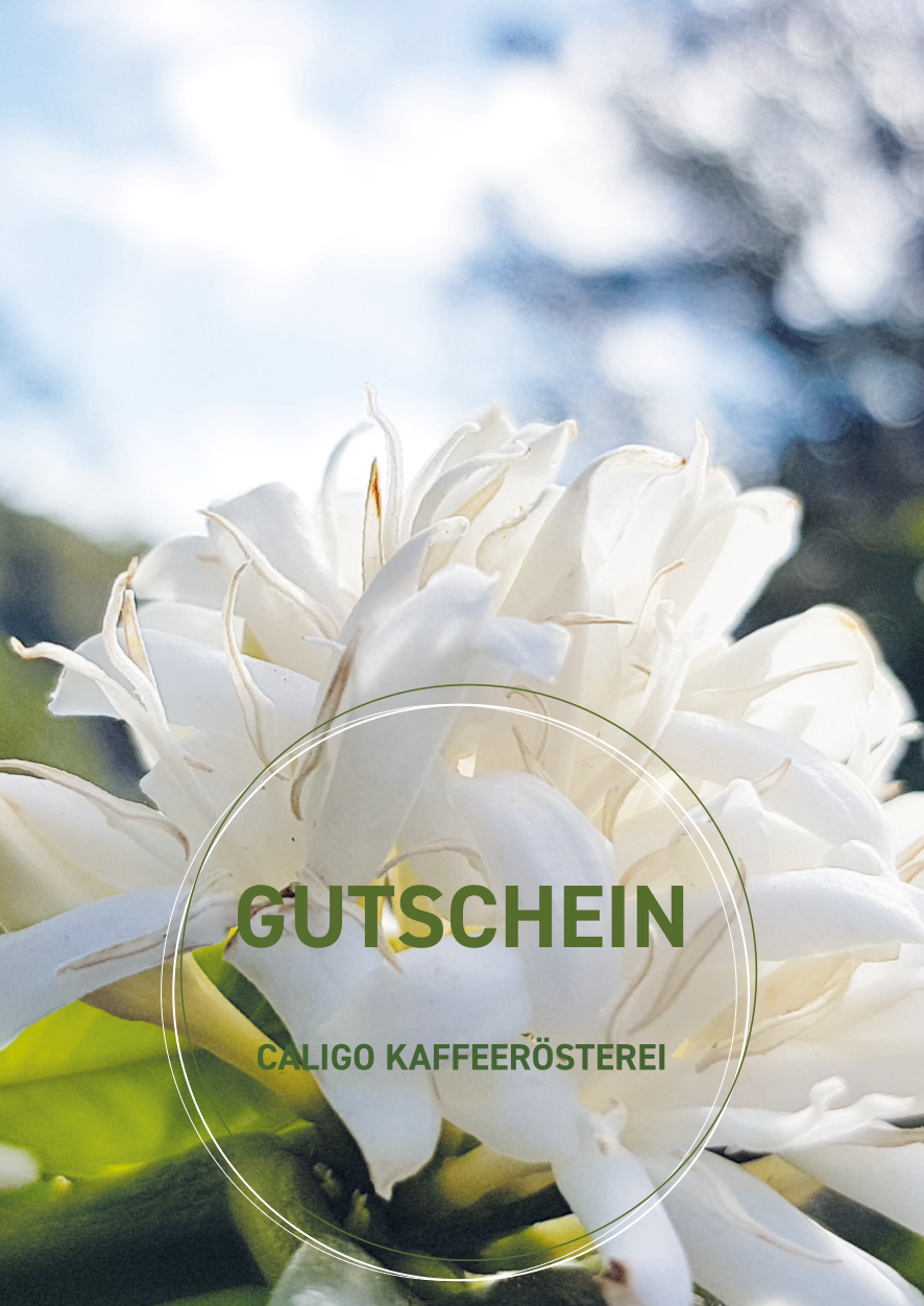 Caligo Online-Gutschein Karte mit Kaffeepflanze im Bild