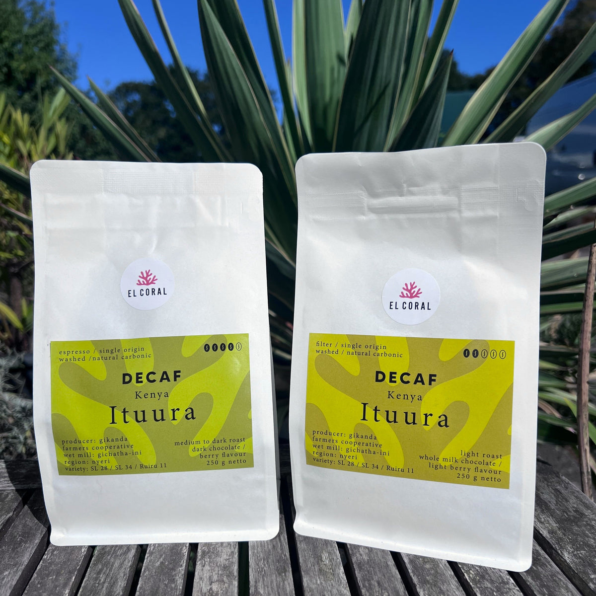 Neu bei El Coral - Ituura - ein lebendig-fruchtiger Decaf aus Kenia