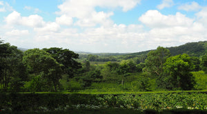Ausblick über die Farm in Tansania